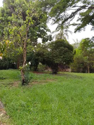 Upanga Sea View for Sale at Upanga