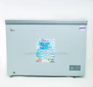 Roch Fast Freezer 250 Litres