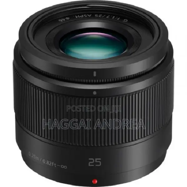 Panasonic Lumix G 25mm F/1.7 ASPH. Lens