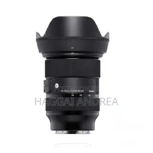 Sigma 24-70mm F/2.8 DG DN Art Lens for Sony E