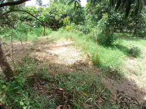 Plot Inauzwa Ipo Kibaha Kwa Matiasi