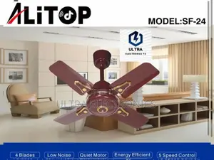 Alitop Ceiling Fan With 24 Inches 4 Blades