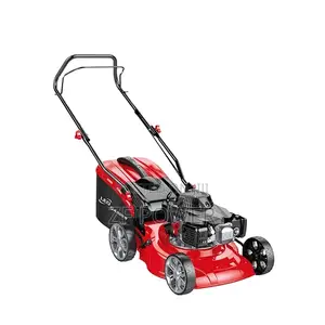 Lawnmower Petrol