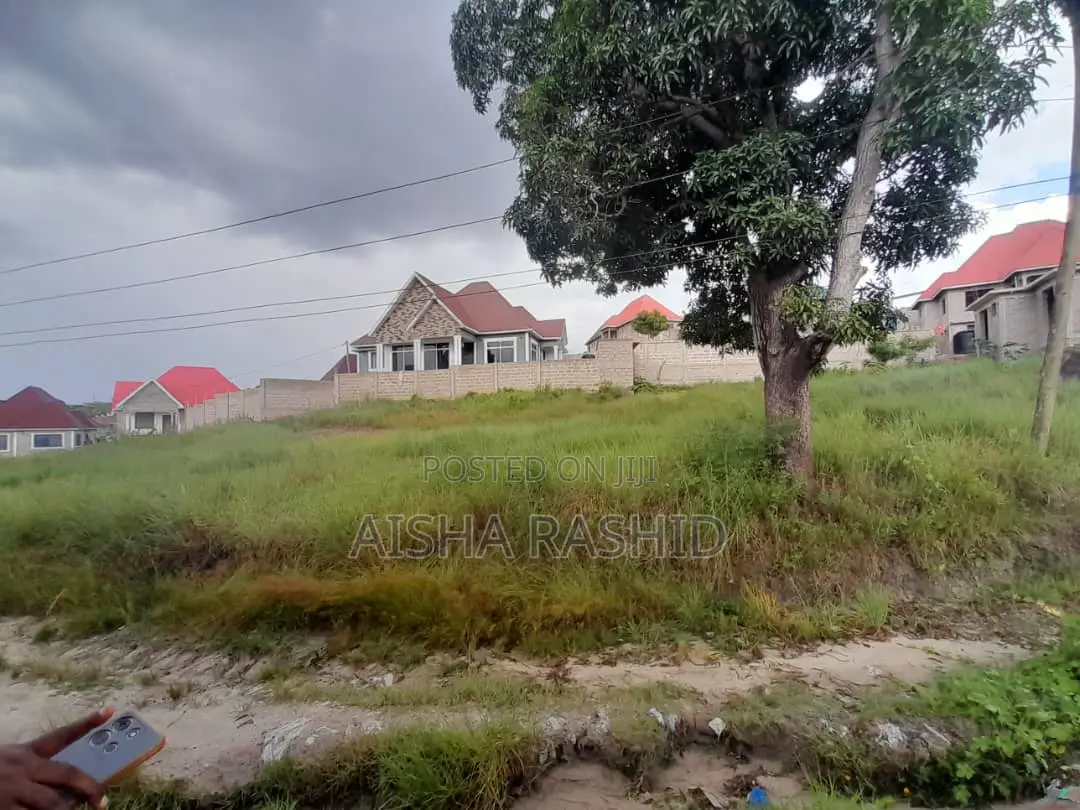 Kiwanja Cha Kishua Temboni