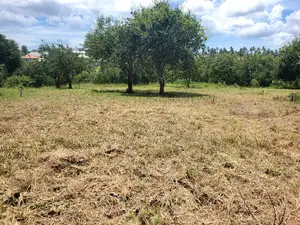 Plot for Sale at Madale Polisi