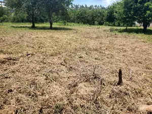 Plot for Sale at Madale Polisi