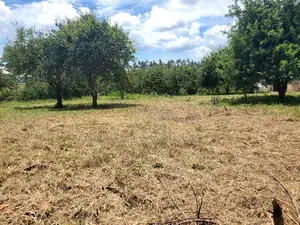 Plot for Sale at Madale Polisi