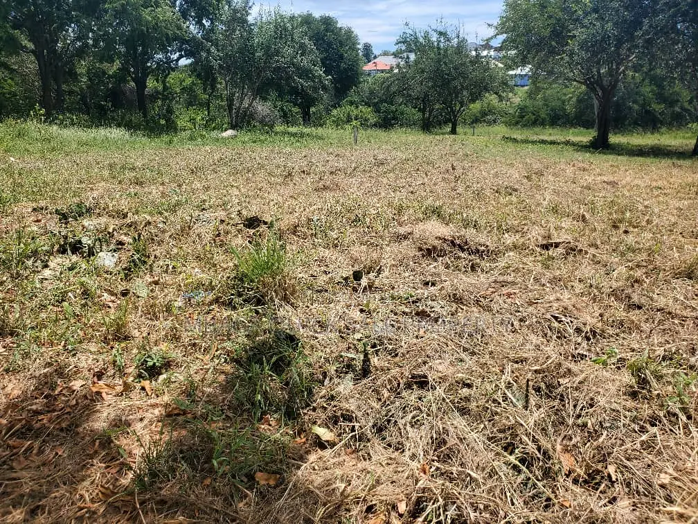 Plot for Sale at Madale Polisi