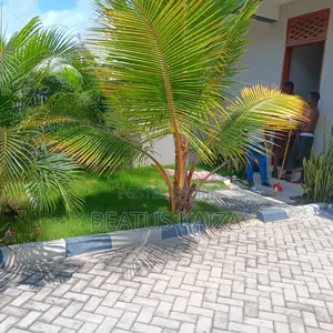 Furnished 2bdrm Apartment in Kinondoni Garden for rent
