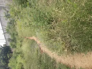 Sea View Plot for Sale at Mbezi Beach Masana Rafia