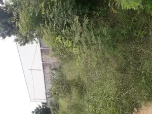 Sea View Plot for Sale at Mbezi Beach Masana Rafia