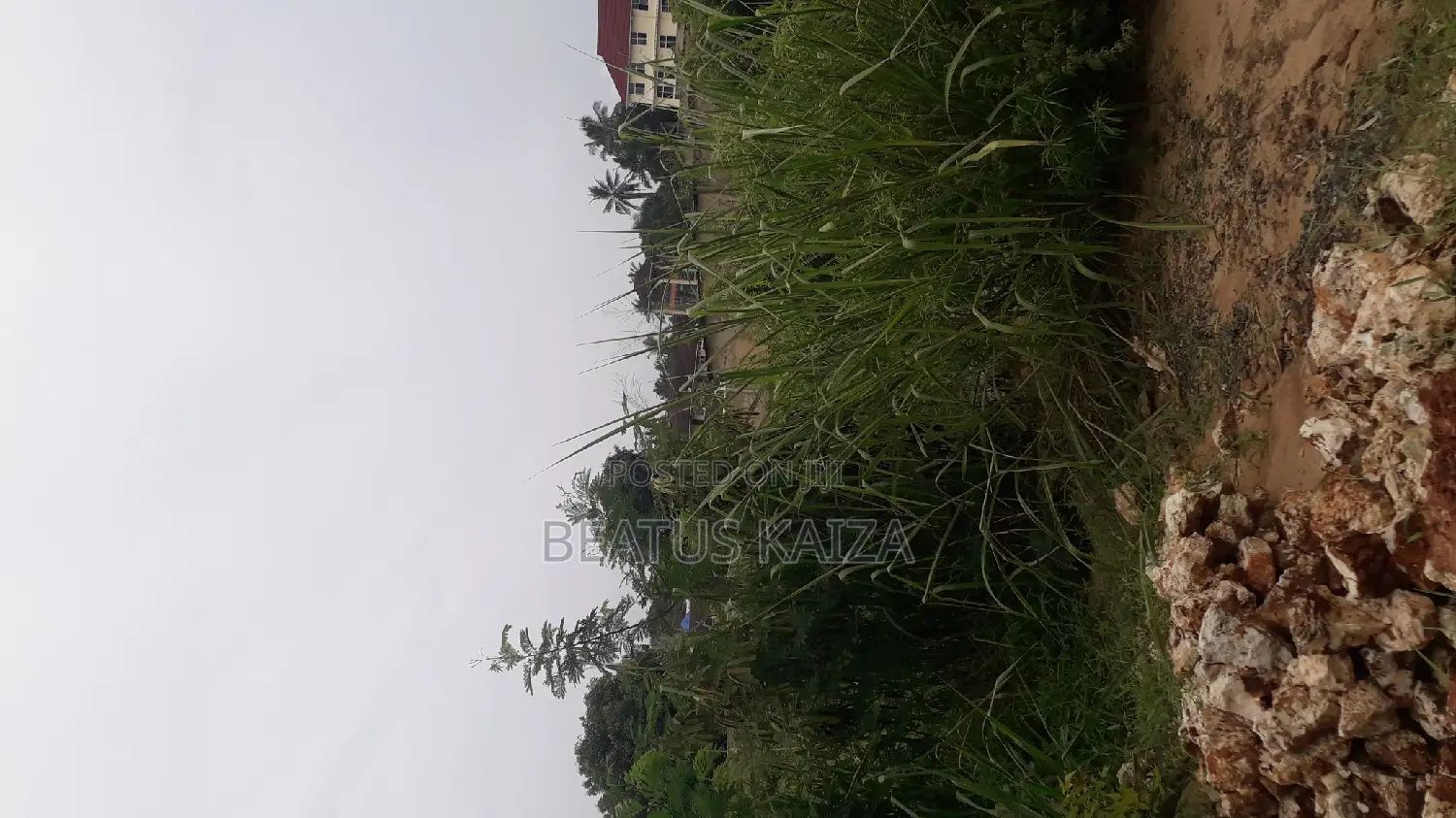Sea View Plot for Sale at Mbezi Beach Masana Rafia