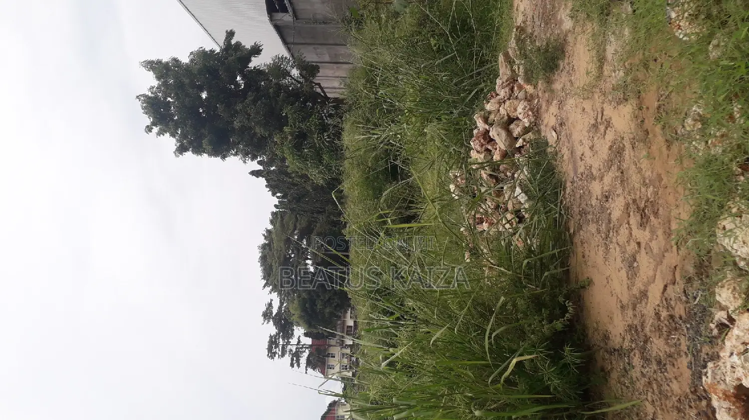 Sea View Plot for Sale at Mbezi Beach Masana Rafia