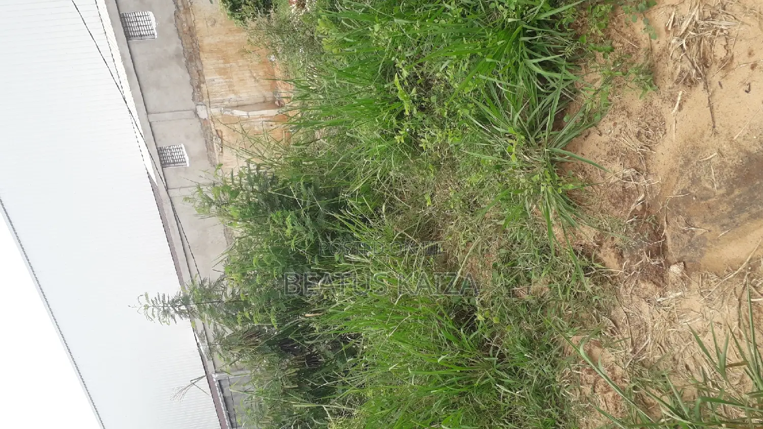 Sea View Plot for Sale at Mbezi Beach Masana Rafia