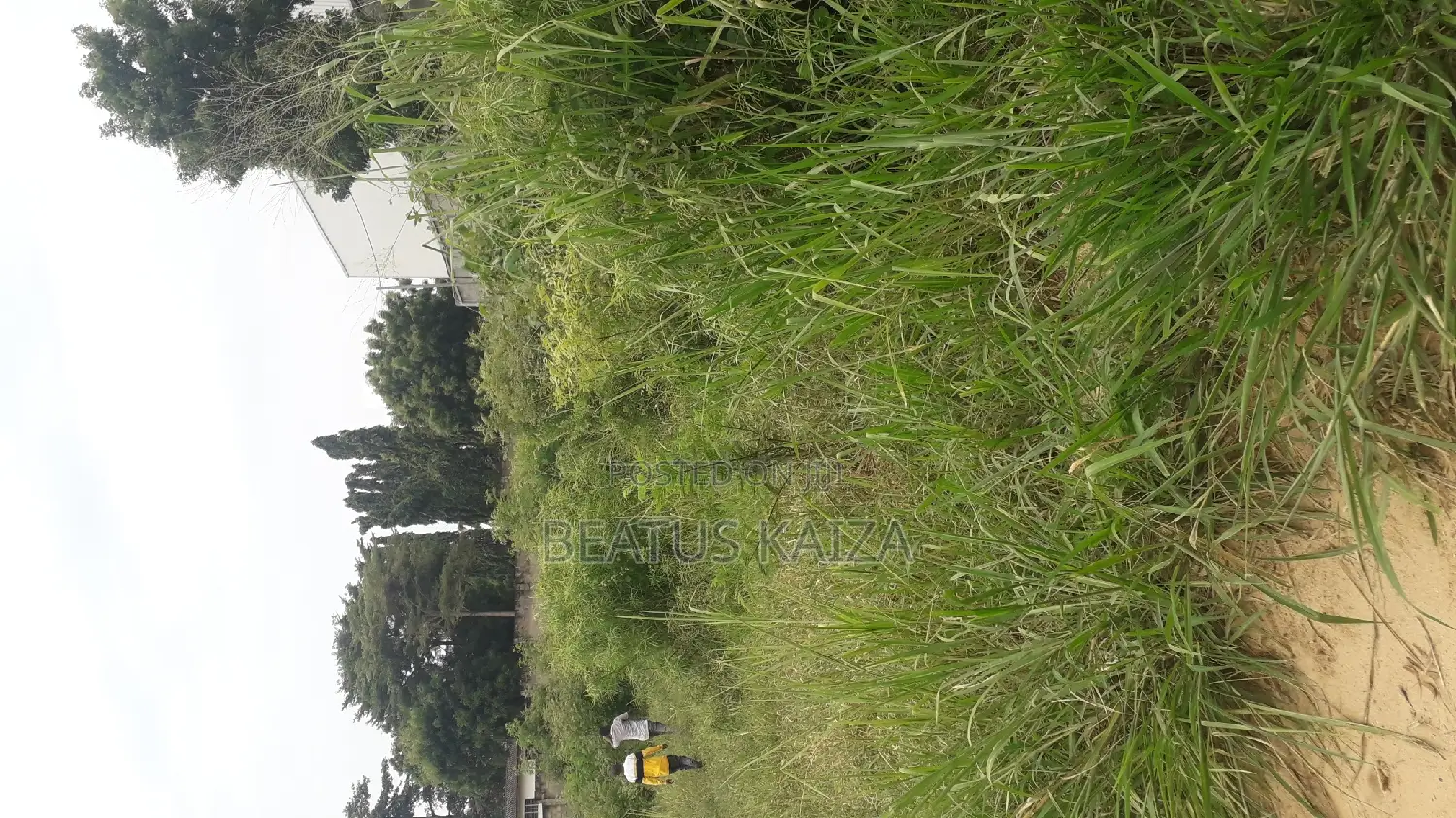 Sea View Plot for Sale at Mbezi Beach Masana Rafia