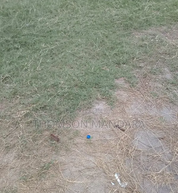 Plot at Ukuni Bagamoyo