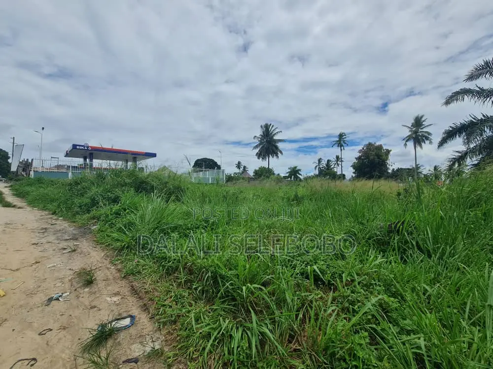 Hecta 2 at Mkulanga Njia Ya Kilwa Road