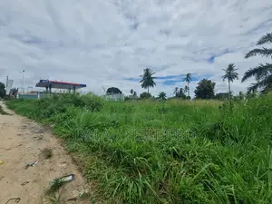 Hecta 2 at Mkulanga Njia Ya Kilwa Road