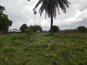 Shamba Linauzwa Mkoani Iringa