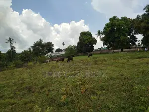 Shamba Linauzwa Mkoani Iringa