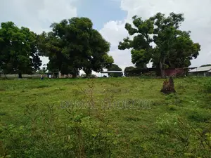 Shamba Linauzwa Mkoani Iringa