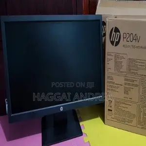 HP P204v 19.5-Inch Monitor