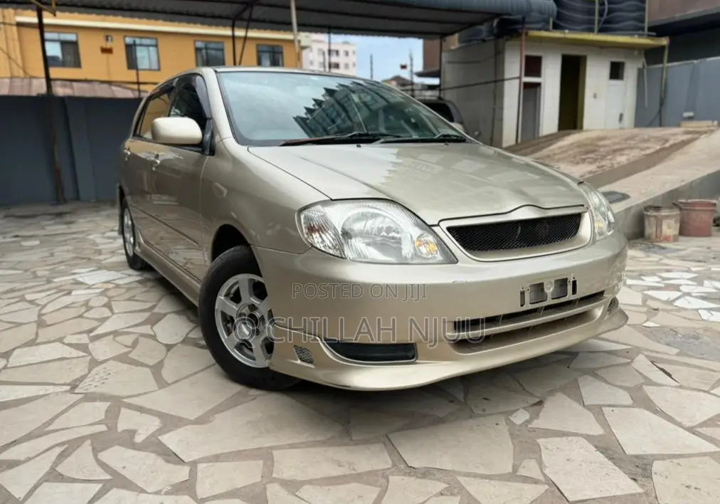 Toyota Corolla RunX 2003 Gold