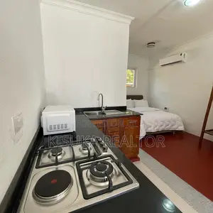 Furnished 1bdrm Apartment in Masaki for rent