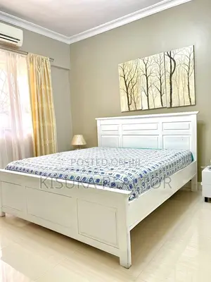 Furnished 3bdrm Apartment in Masaki for rent