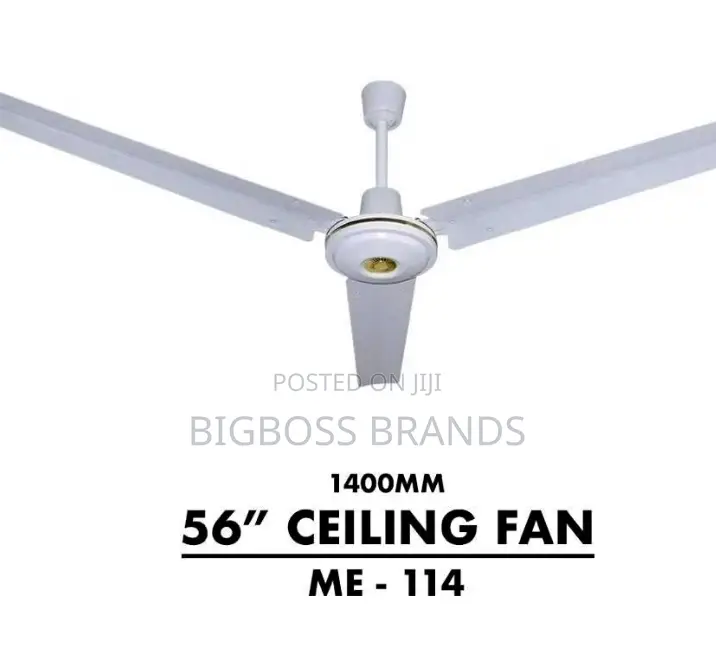 Dolphin Ceiling Fan Size 56 Pangaboi
