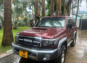 Toyota Land Cruiser 2010 Purple