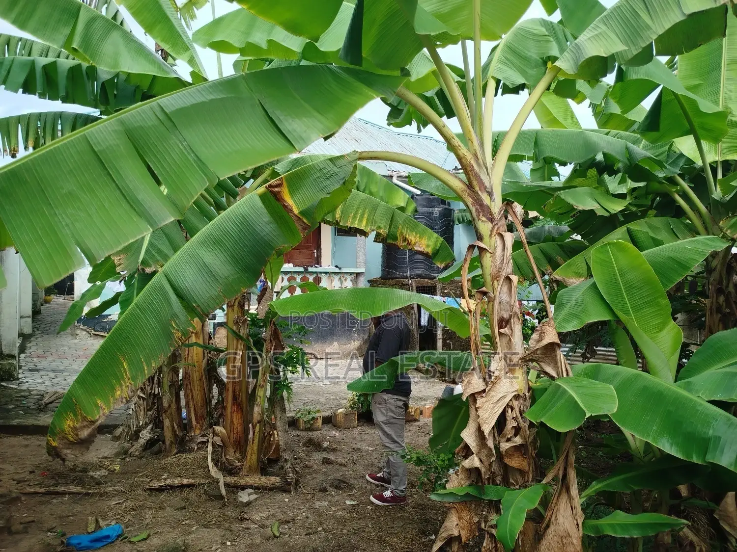3bdrm House in Mbezi Mwisho, Kinondoni for sale