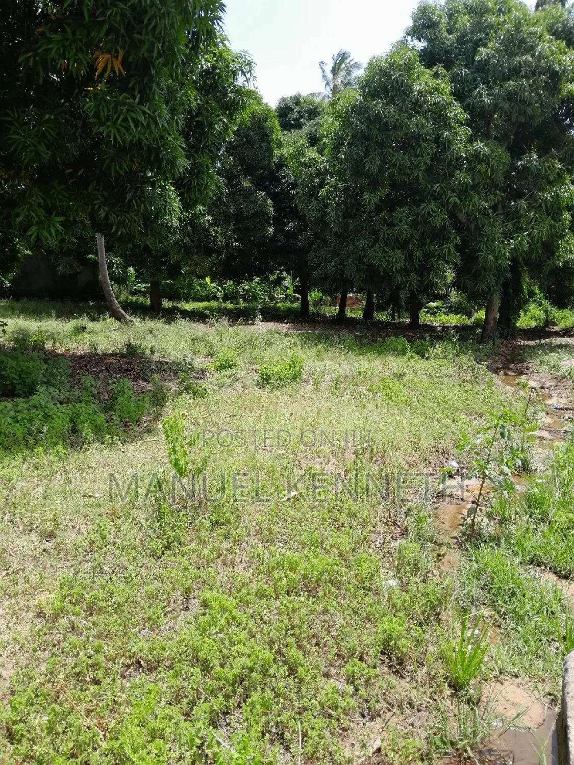 Chanika Buyuni Centre Kiwanja Kikubwa Kina Hati