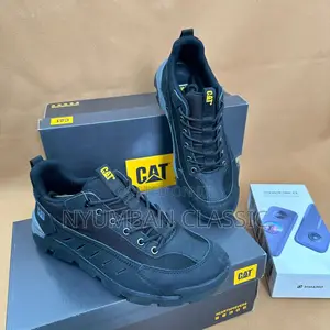 Cat Boots Shoes