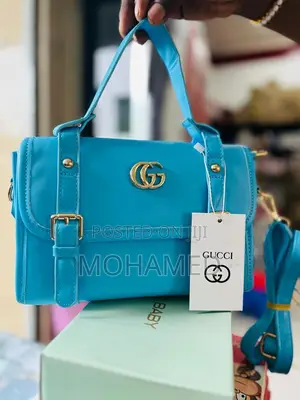 Gucci Original Bag/Pochi