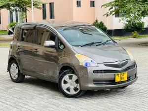 Toyota Ractis 2006 Gray