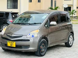 Toyota Ractis 2006 Gray