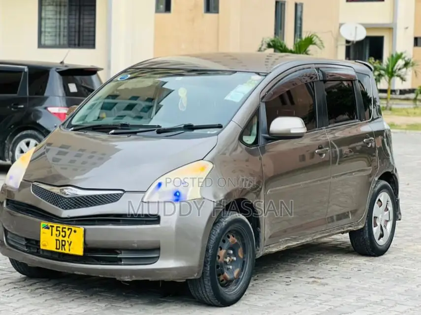 Toyota Ractis 2006 Gray