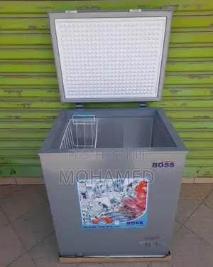 Boss Chest Freezer/Friza
