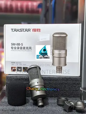 ORIGINAL TAKSTAR Professional Recording Microphone / Mic