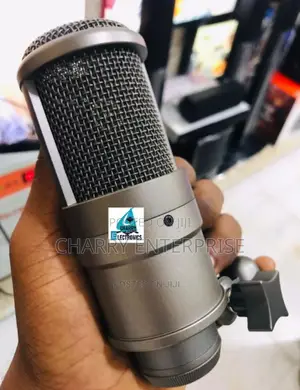 ORIGINAL TAKSTAR Professional Recording Microphone / Mic