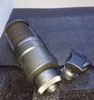 ORIGINAL TAKSTAR Professional Recording Microphone / Mic