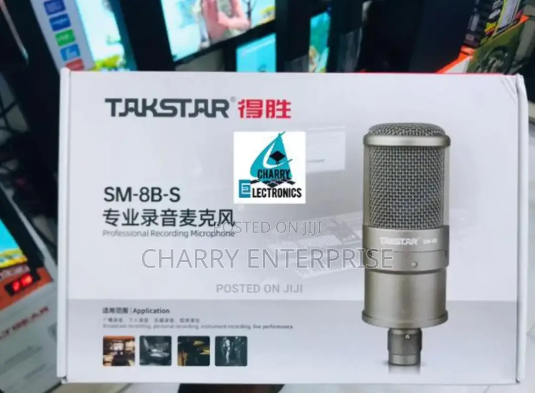 ORIGINAL TAKSTAR Professional Recording Microphone / Mic