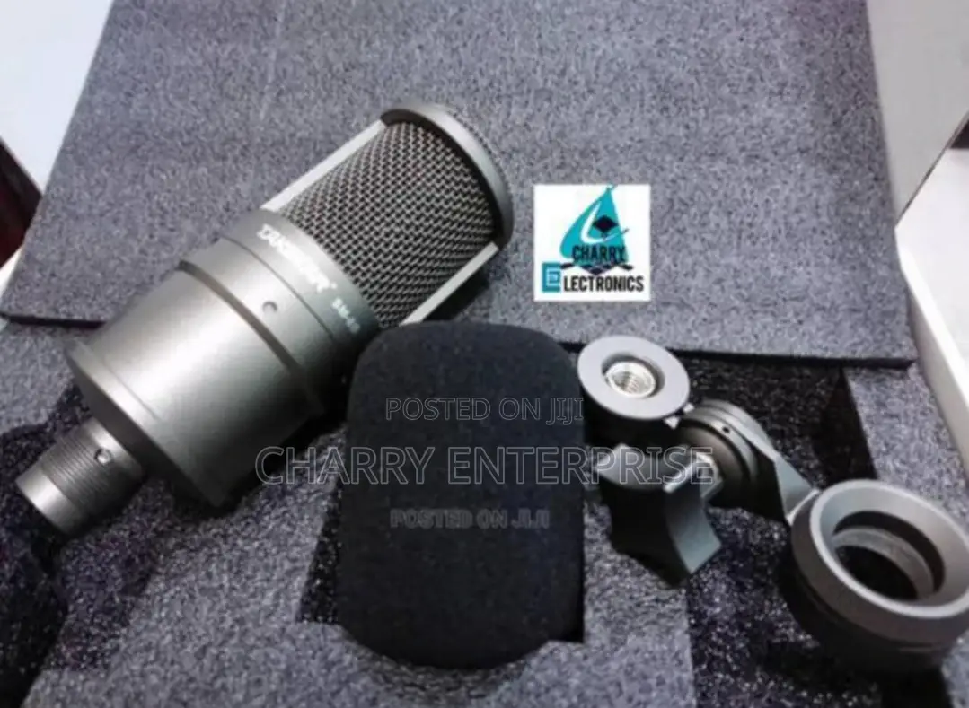 ORIGINAL TAKSTAR Professional Recording Microphone / Mic