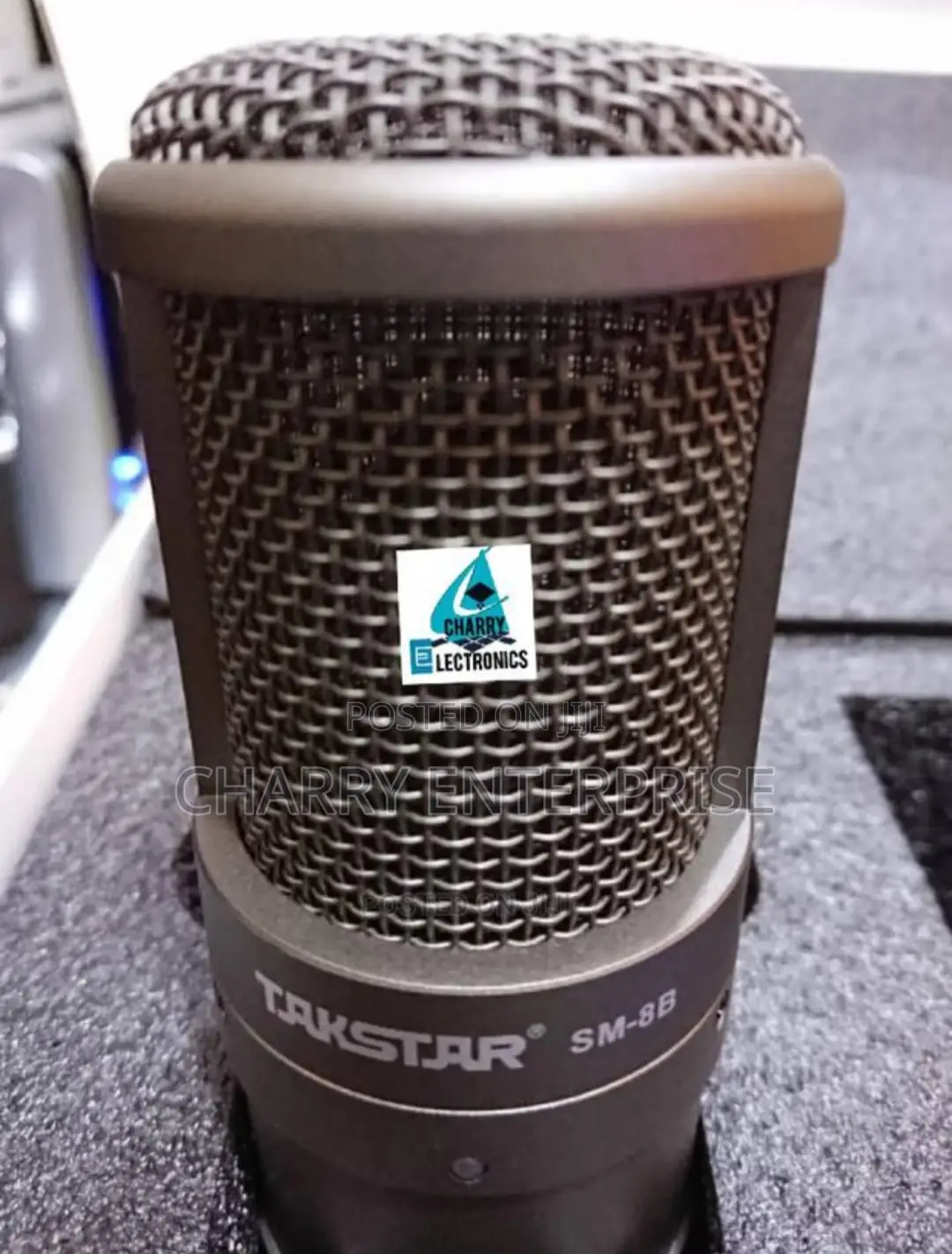 ORIGINAL TAKSTAR Professional Recording Microphone / Mic