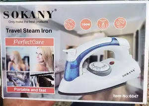 Travel Steam Iron