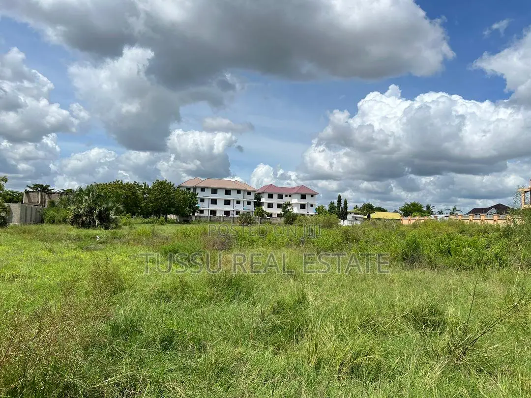 Plot for Sale at Kunduch Madini(Sqm 800/1000/2000)