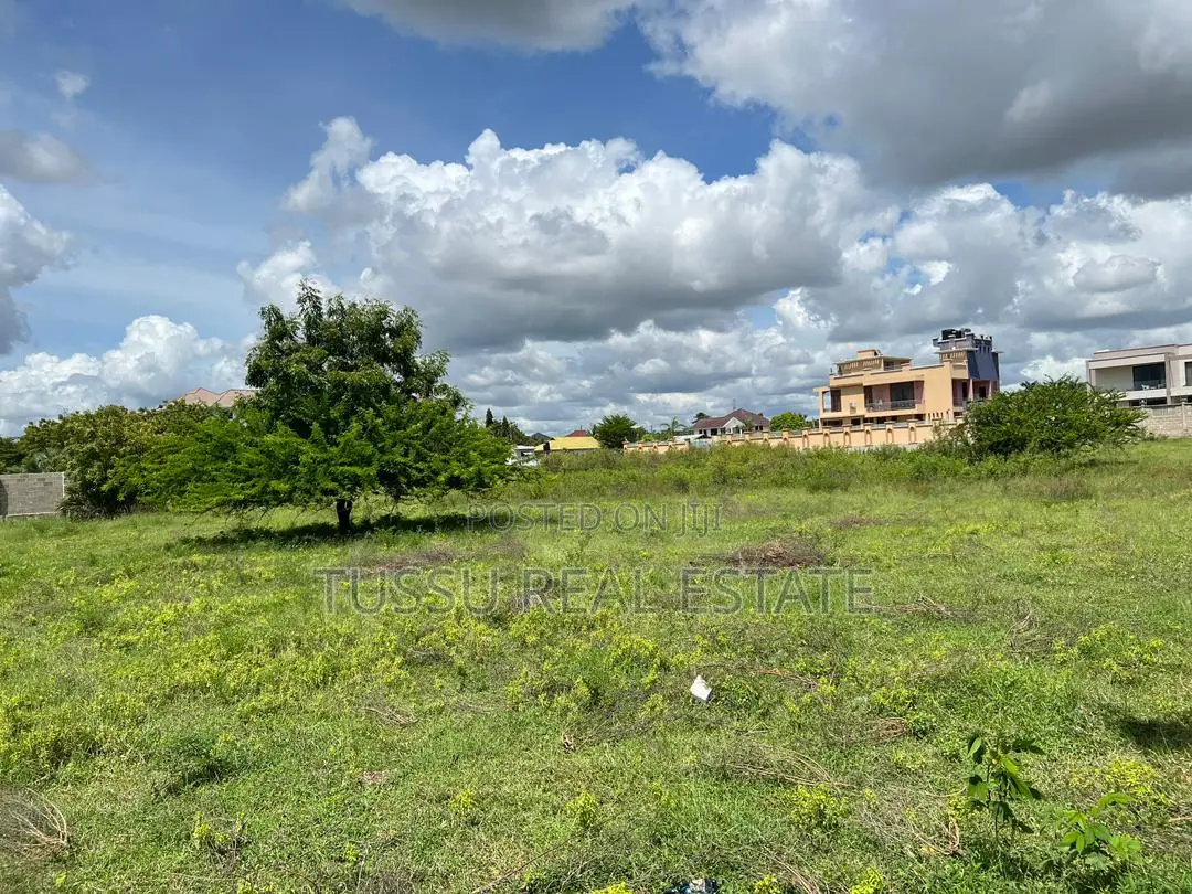 Plot for Sale at Kunduch Madini(Sqm 800/1000/2000)