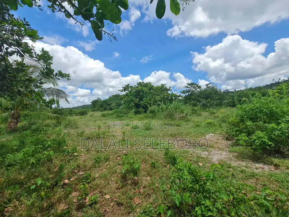 Plot Hecta 21 for Industrial at Mkuranga