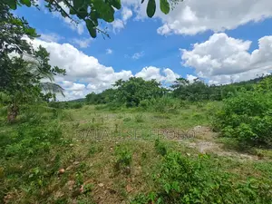 Plot Hecta 21 for Industrial at Mkuranga